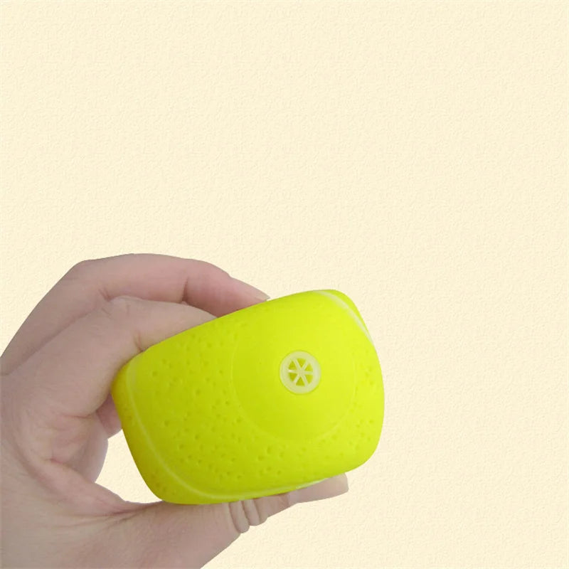 Squeaky Rubber Dog Ball Toy for Small Puppies Play