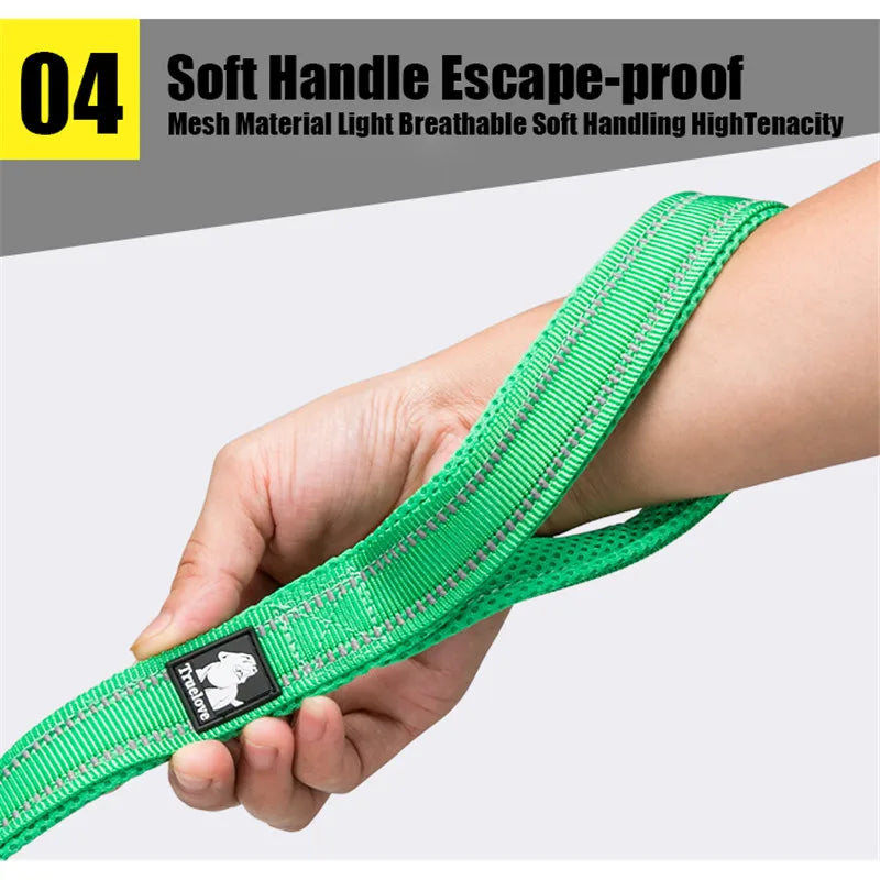 Reflective Padded Pet Leash for Dog Cat Walking Training