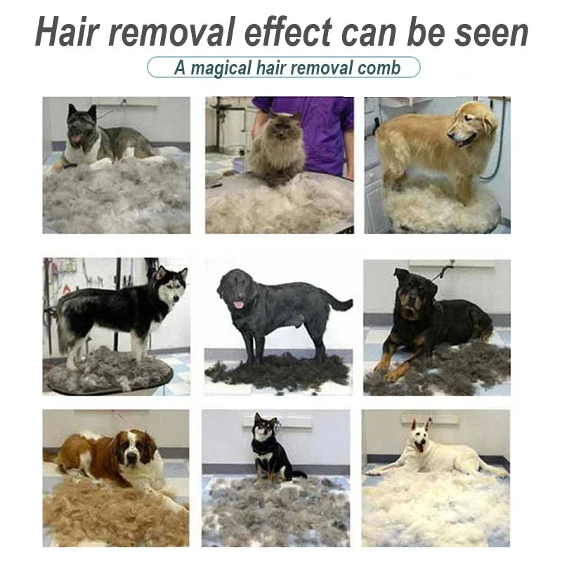 Pet Grooming Brush for Dogs and Cats Hair Removal