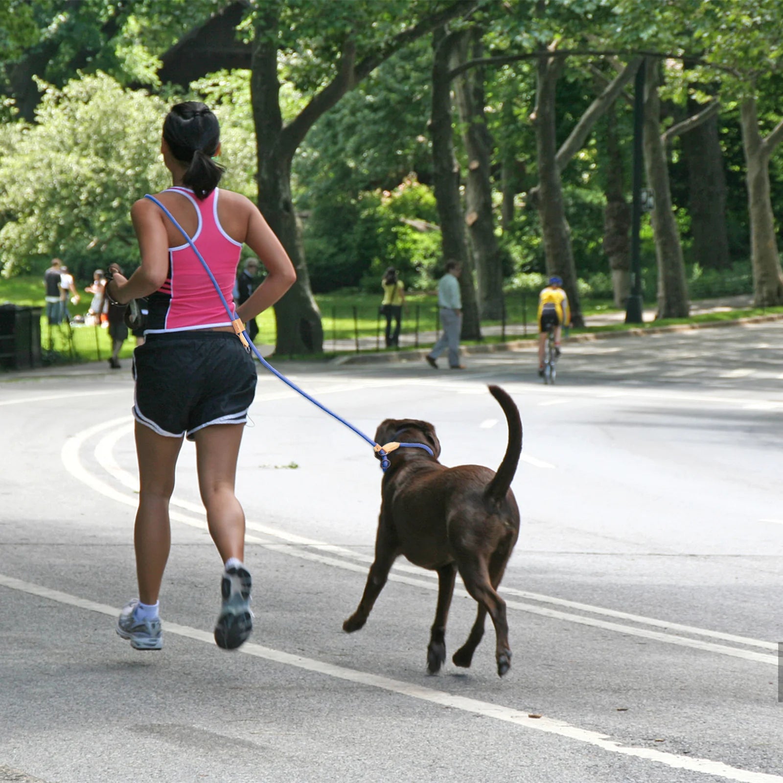 Adjustable Hands-Free Dog Leash for Running and Walking