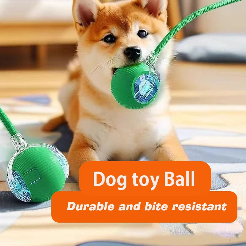 Smart Automatic Rolling Dog Ball Rechargeable Interactive Puppy Toy