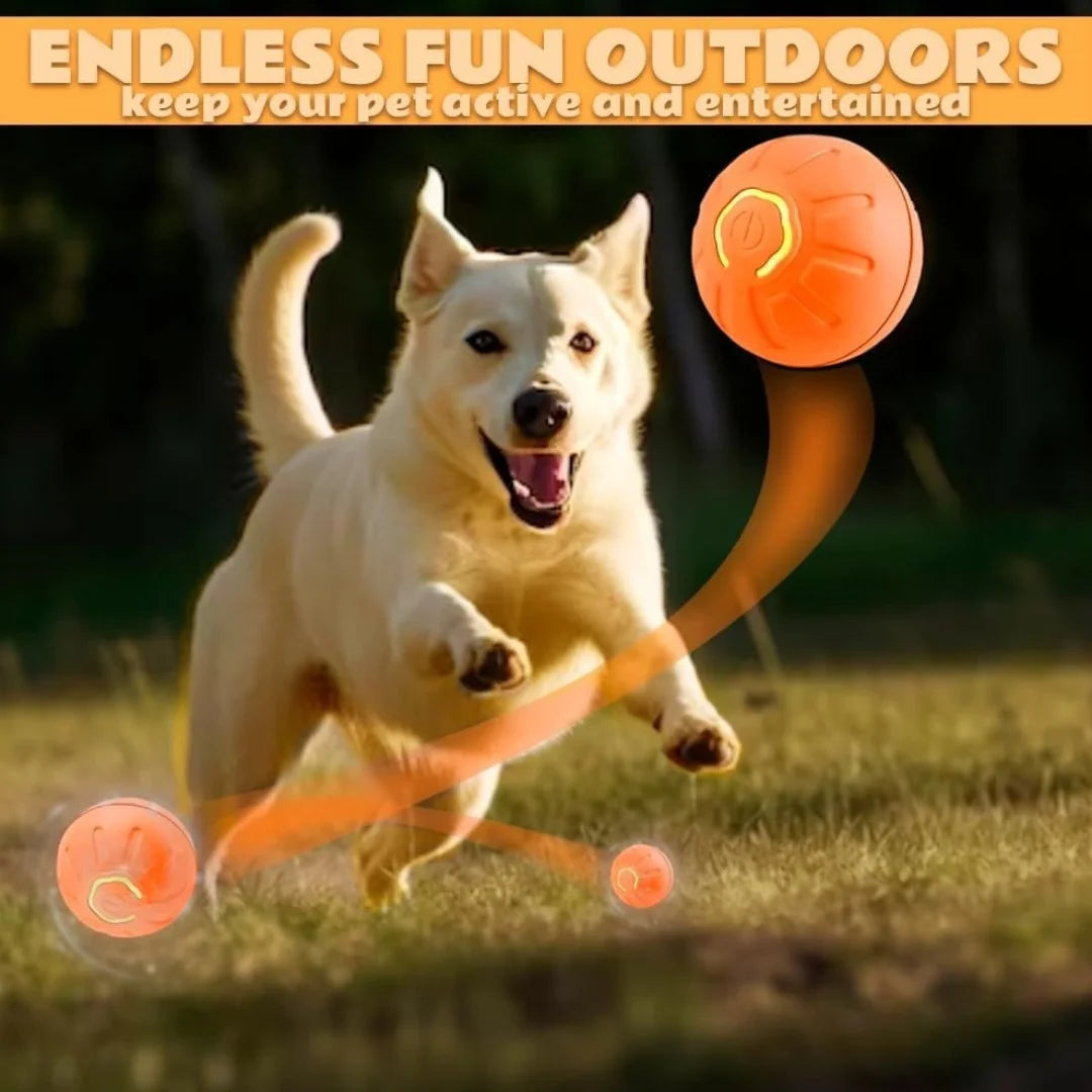 Smart Gravity Electric Pet Ball for Dogs and Cats