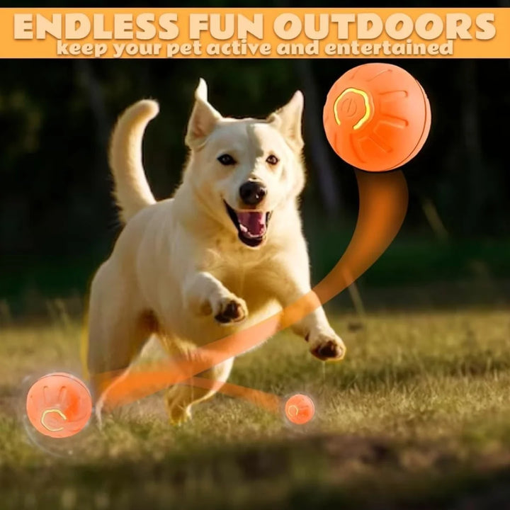 Smart Gravity Electric Pet Ball for Dogs and Cats