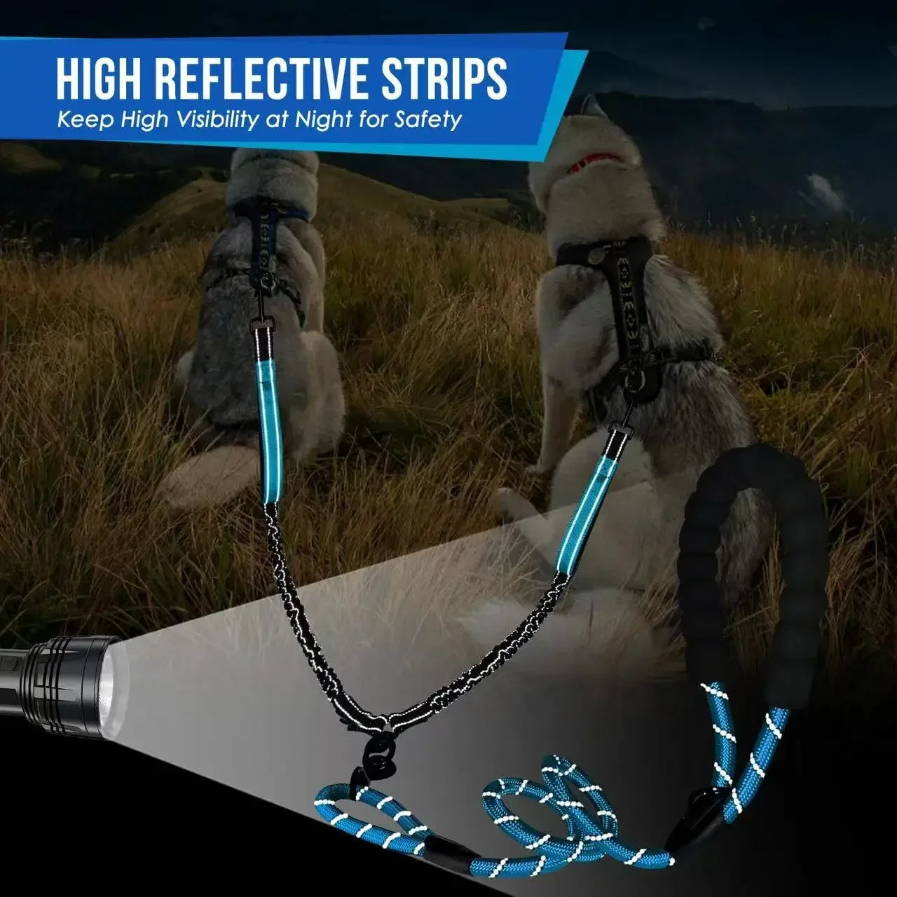Reflective Double Dog Leash with Traffic Handles No Tangle