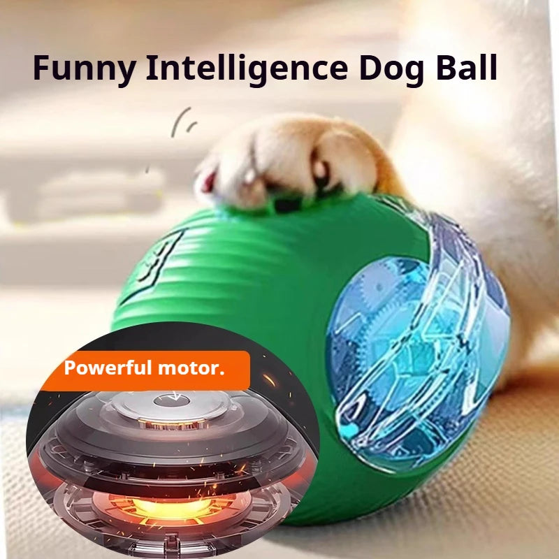 Smart Automatic Rolling Dog Ball Rechargeable Interactive Puppy Toy