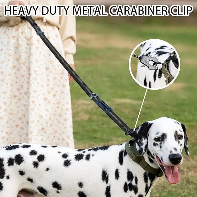 Reflective Bungee Dog Leash with Seatbelt for Large Dogs