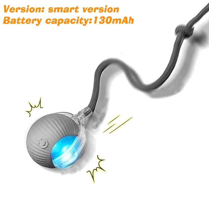 Smart Automatic Rolling Dog Ball Rechargeable Interactive Puppy Toy