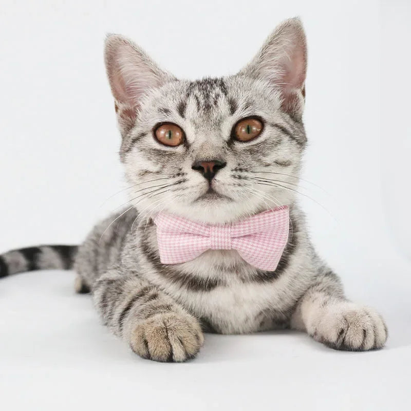 Cute Bow Tie Pet Collar Adjustable for Dogs and Cats