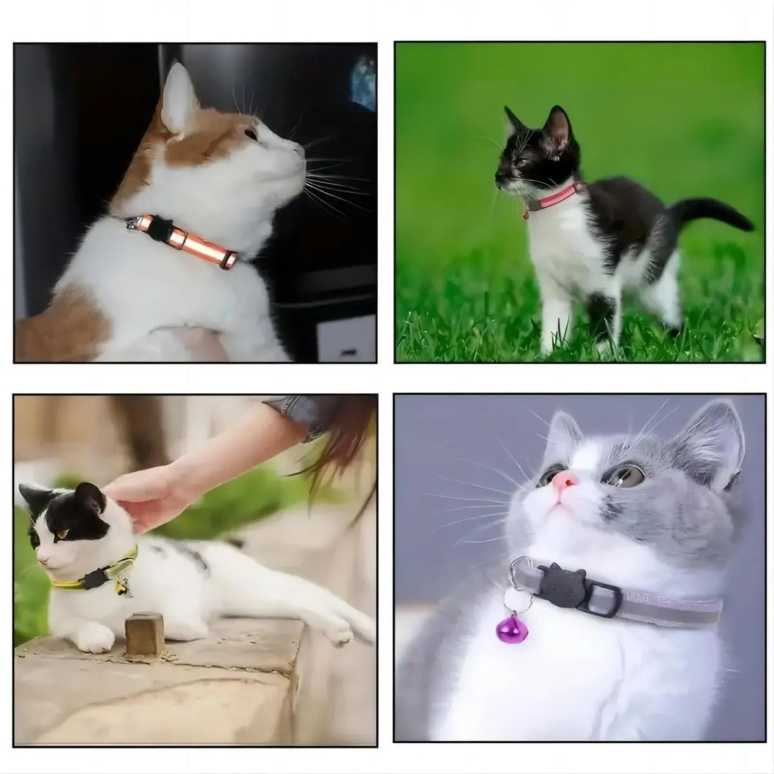 Reflective Pet Collar Set with Anti-Lost Safety Design