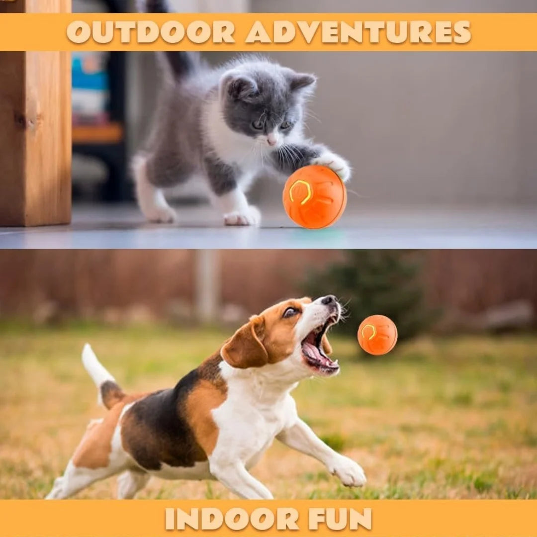 Smart Gravity Electric Pet Ball for Dogs and Cats