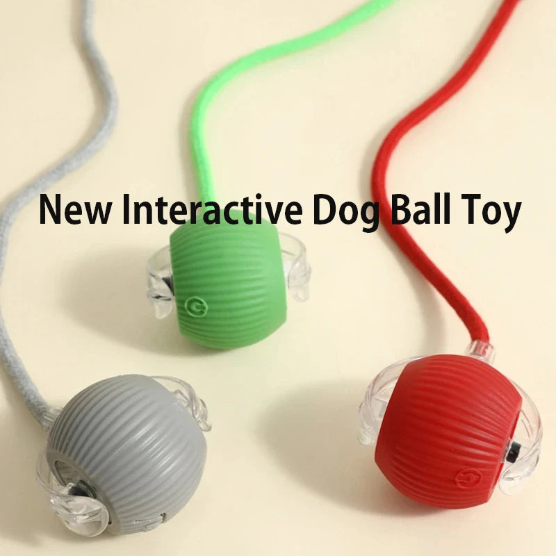 Smart Automatic Rolling Dog Ball Rechargeable Interactive Puppy Toy