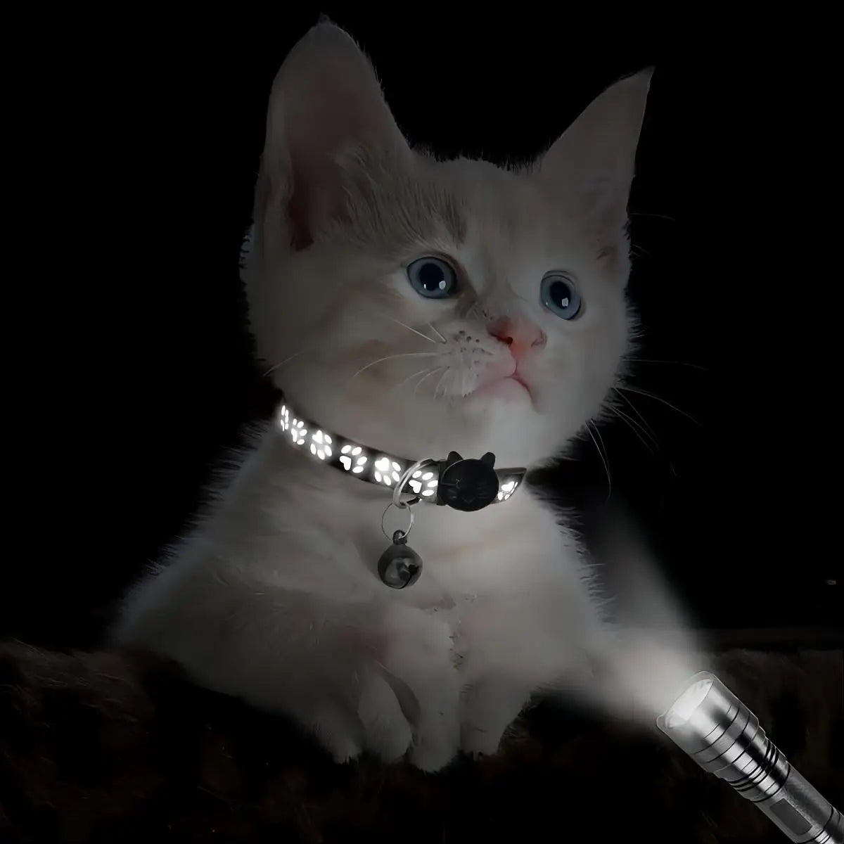 Reflective Pet Collar Set with Anti-Lost Safety Design