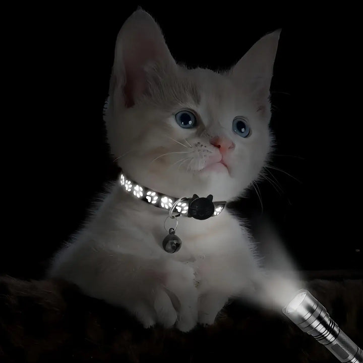 Reflective Pet Collar Set with Anti-Lost Safety Design
