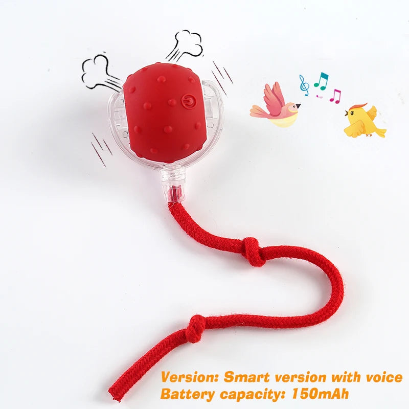 Smart Automatic Rolling Dog Ball Rechargeable Interactive Puppy Toy