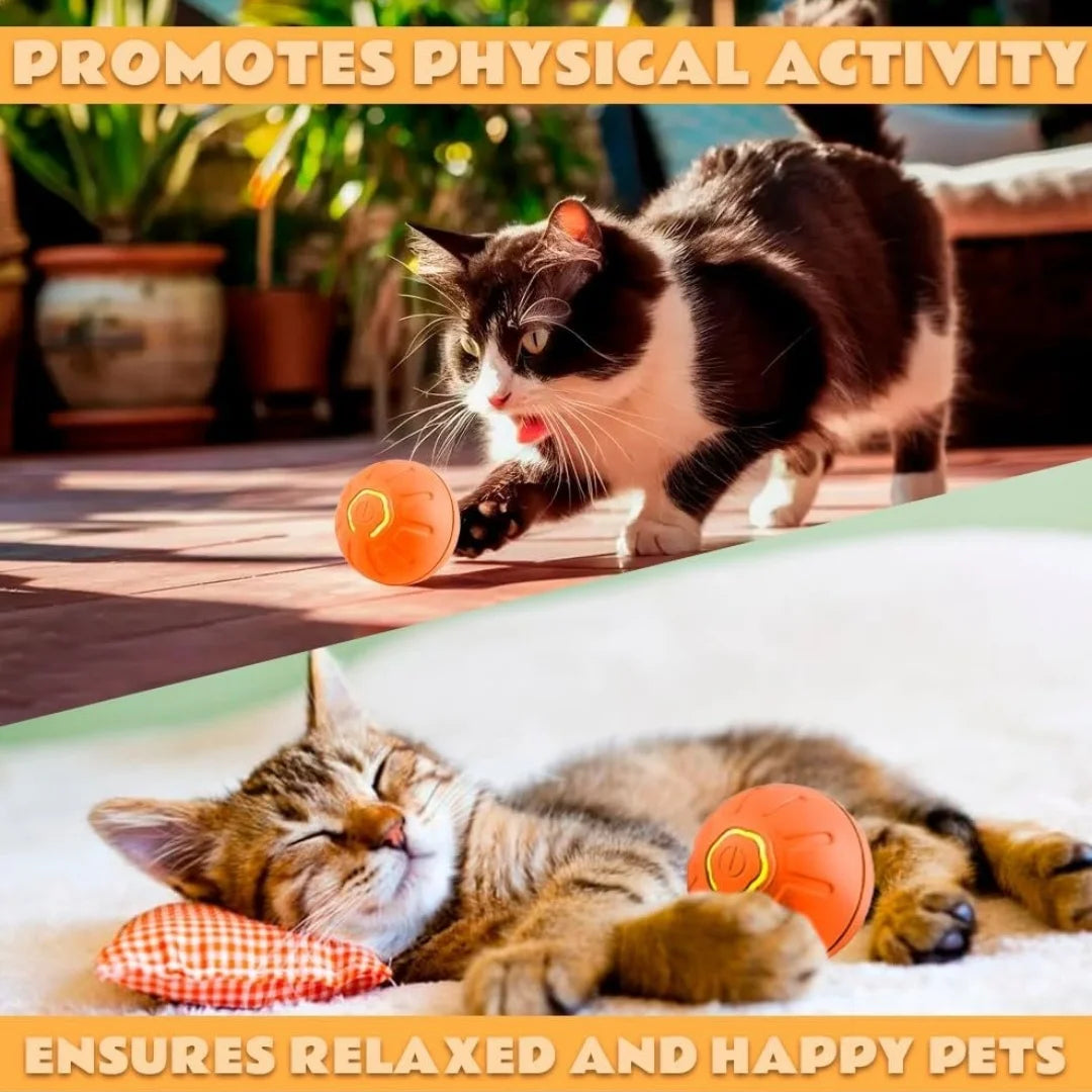 Smart Gravity Electric Pet Ball for Dogs and Cats