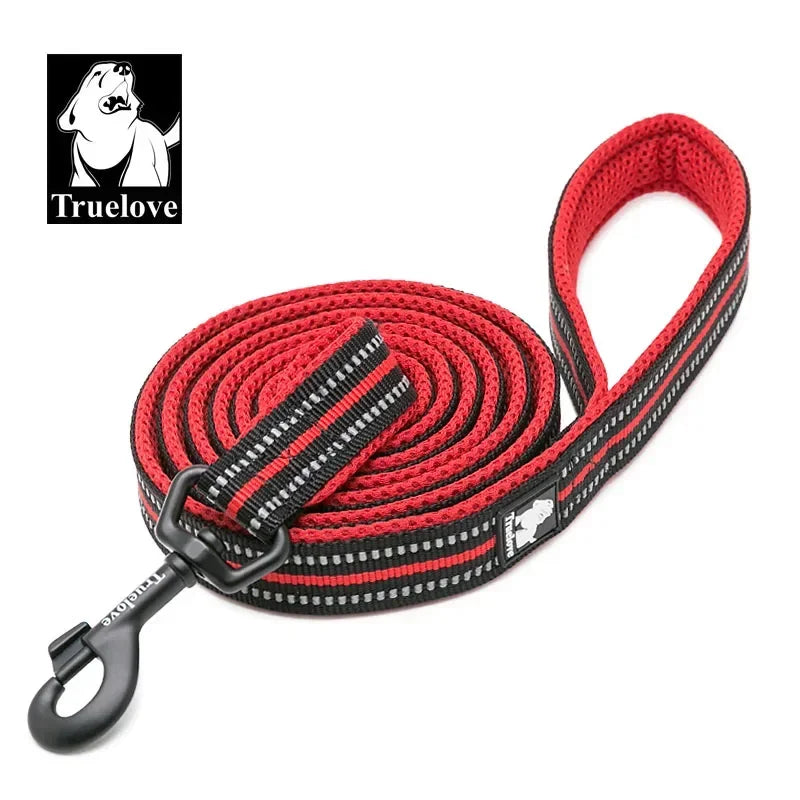 Reflective Padded Pet Leash for Dog Cat Walking Training