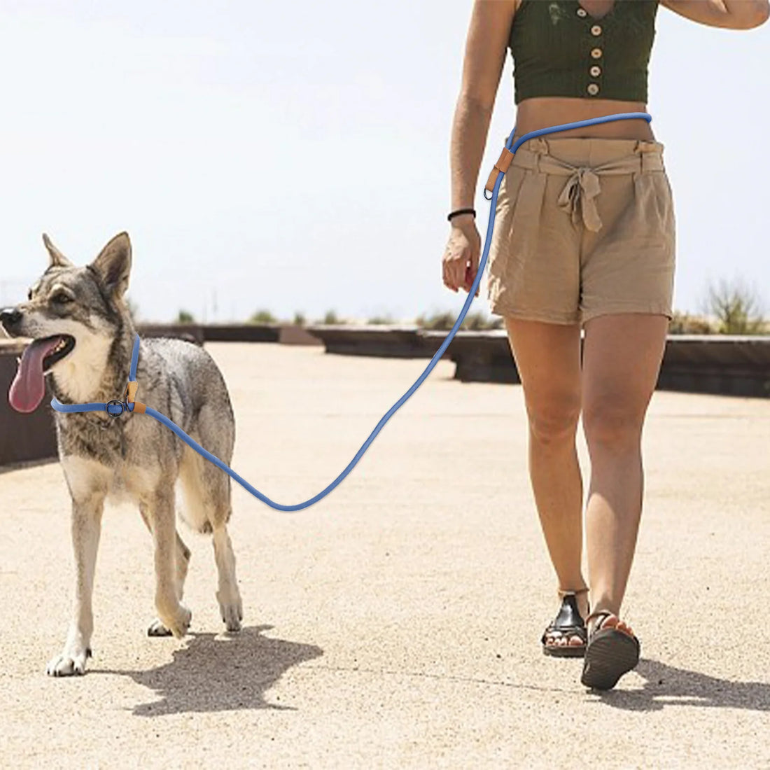 Adjustable Hands-Free Dog Leash for Running and Walking