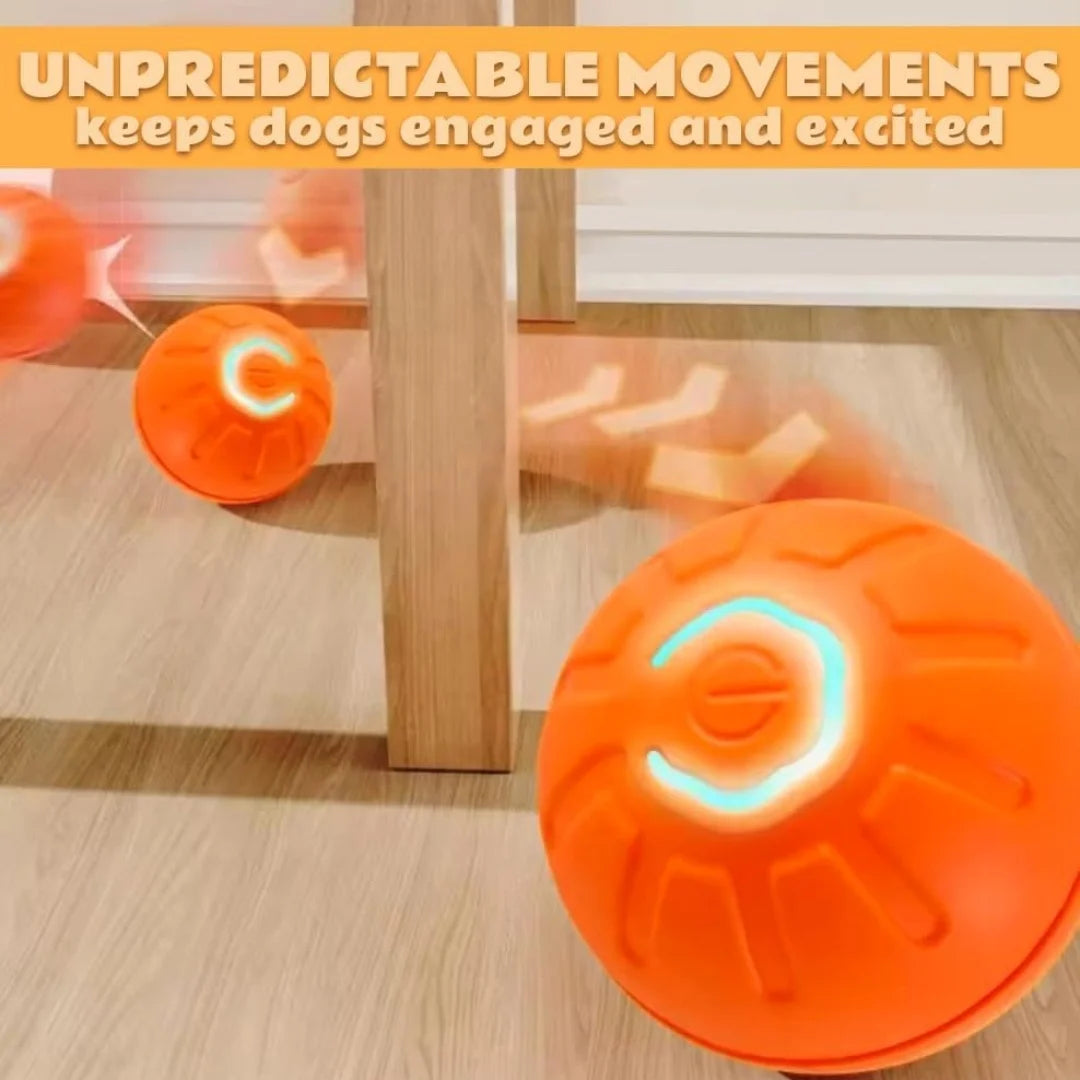 Smart Gravity Electric Pet Ball for Dogs and Cats