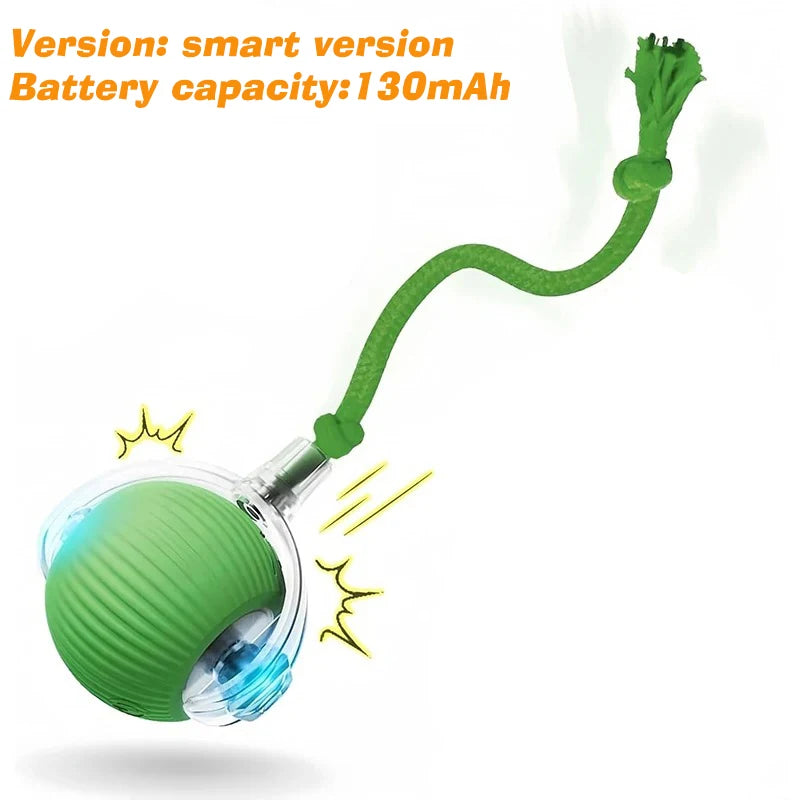 Smart Automatic Rolling Dog Ball Rechargeable Interactive Puppy Toy