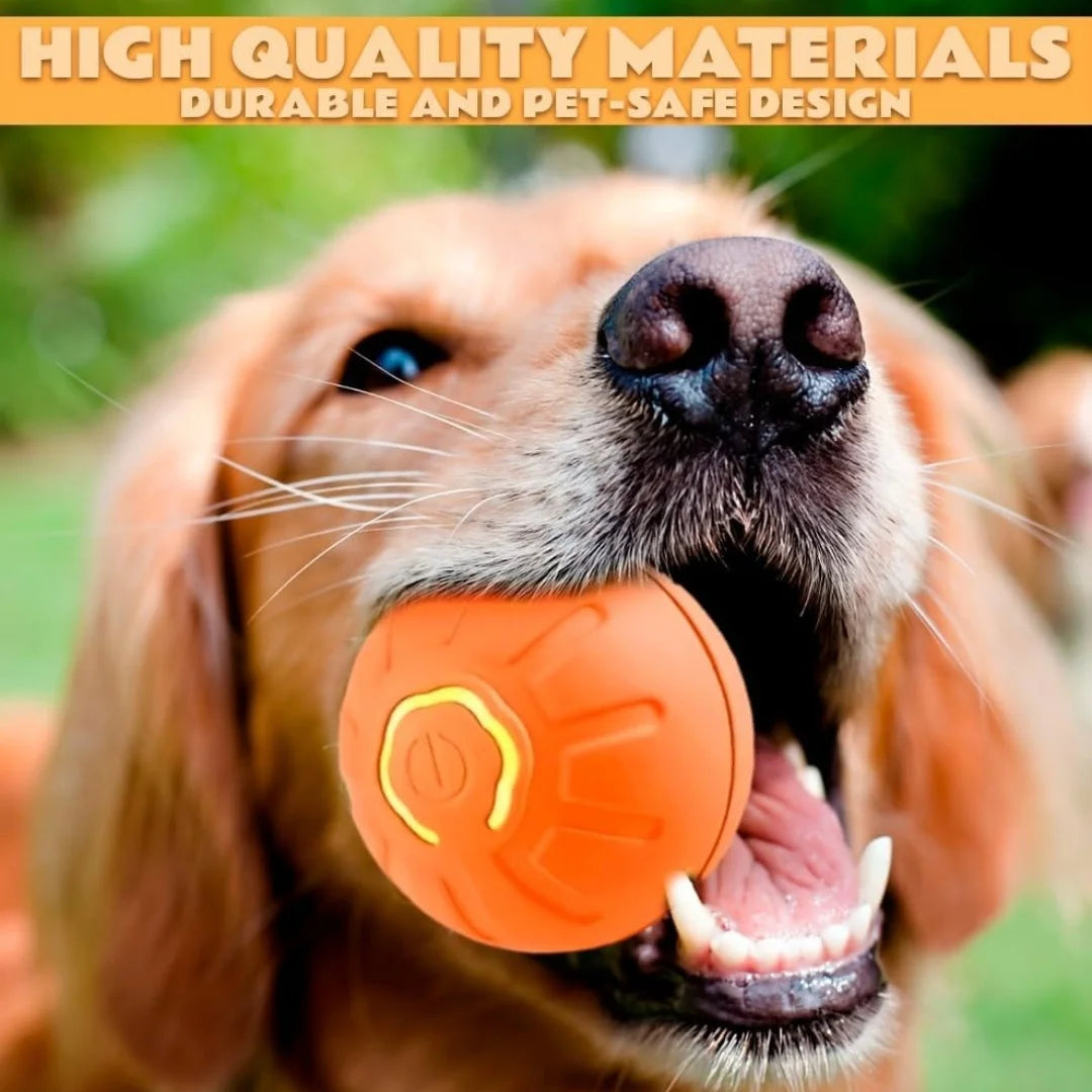 Smart Gravity Electric Pet Ball for Dogs and Cats