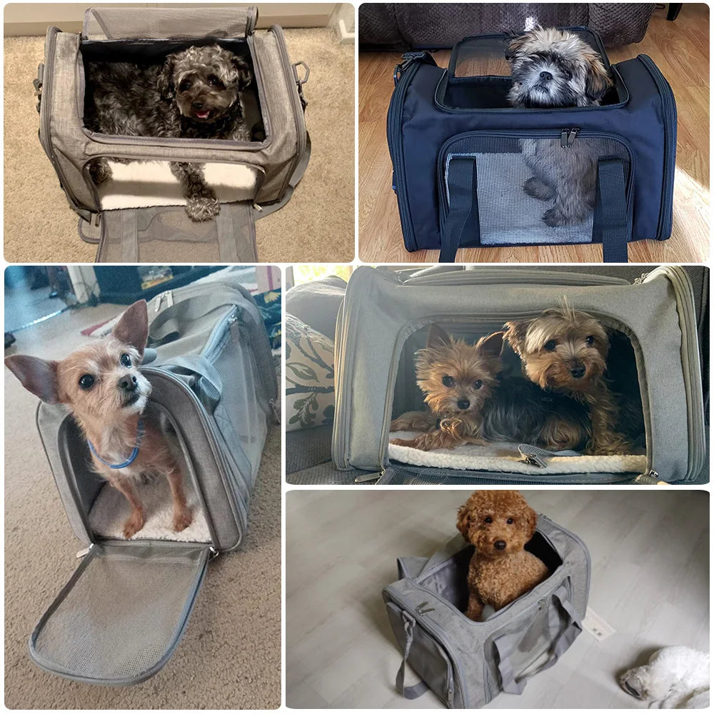 Airline Approved Soft Pet Carrier Backpack for Travel Adventures