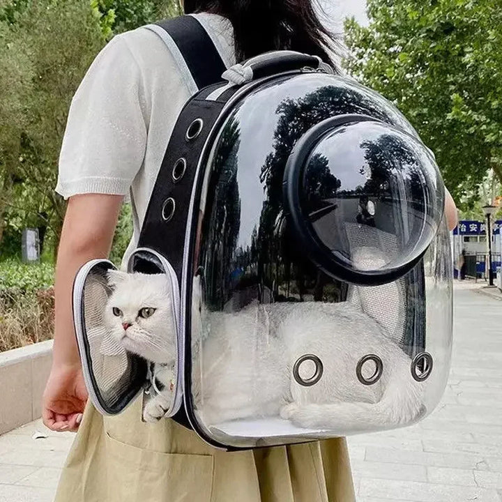 Transparent Bubble Pet Carrier Backpack for Cats and Puppies