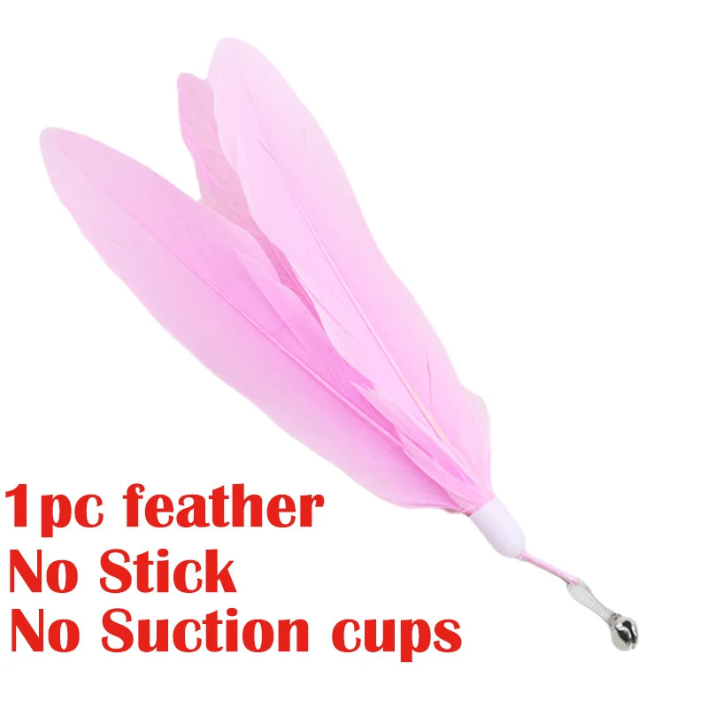 Hands-Free Feather Wand Cat Toy with Suction Cup Base