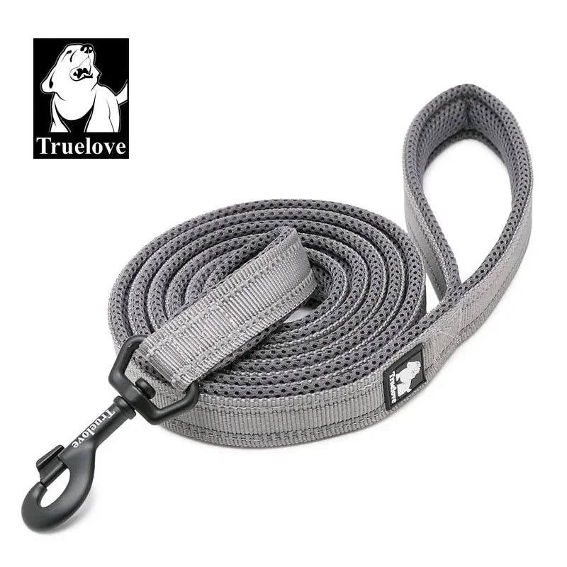 Reflective Padded Pet Leash for Dog Cat Walking Training