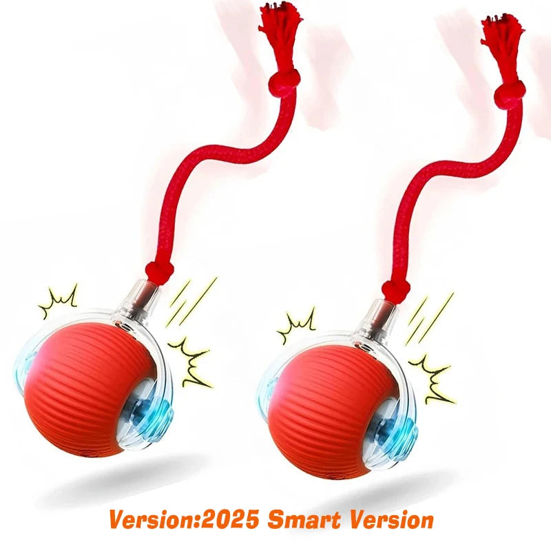 Smart Automatic Rolling Dog Ball Rechargeable Interactive Puppy Toy