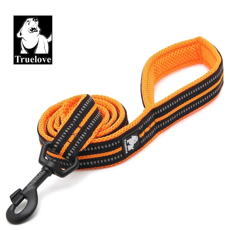 Reflective Padded Pet Leash for Dog Cat Walking Training